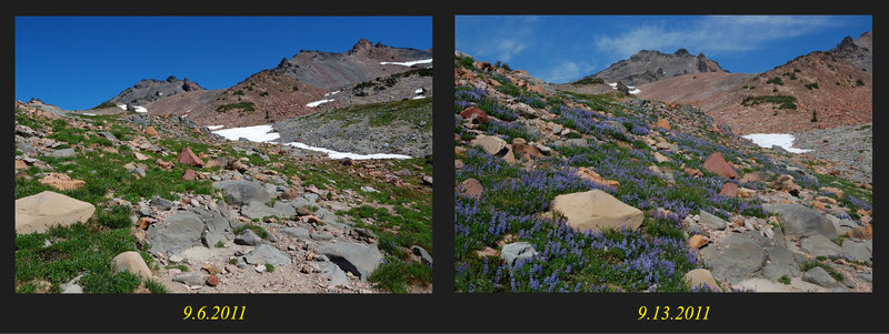 Two shots taken a week apart